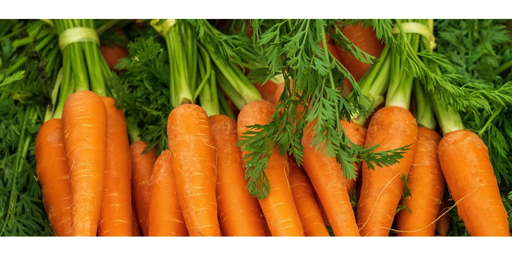 Carrots