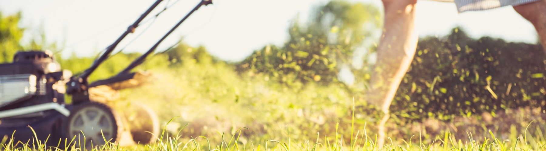 Young man moving lawn
