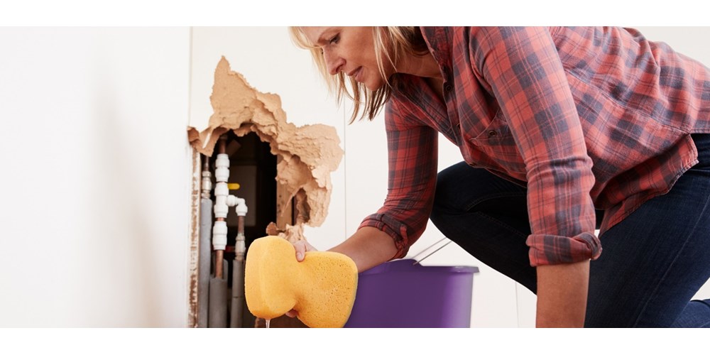 Woman squeezing water out of yellow sponge 
