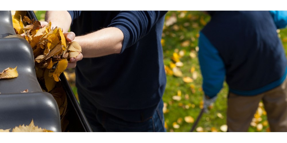 People working in a garden during autumn